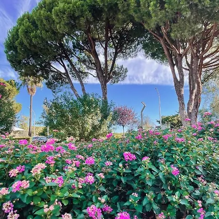 Cozy Apartment- Algardia