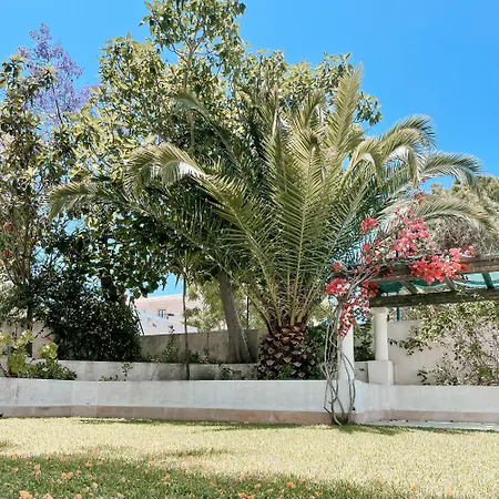 Cozy Apartment- Algardia Виламура